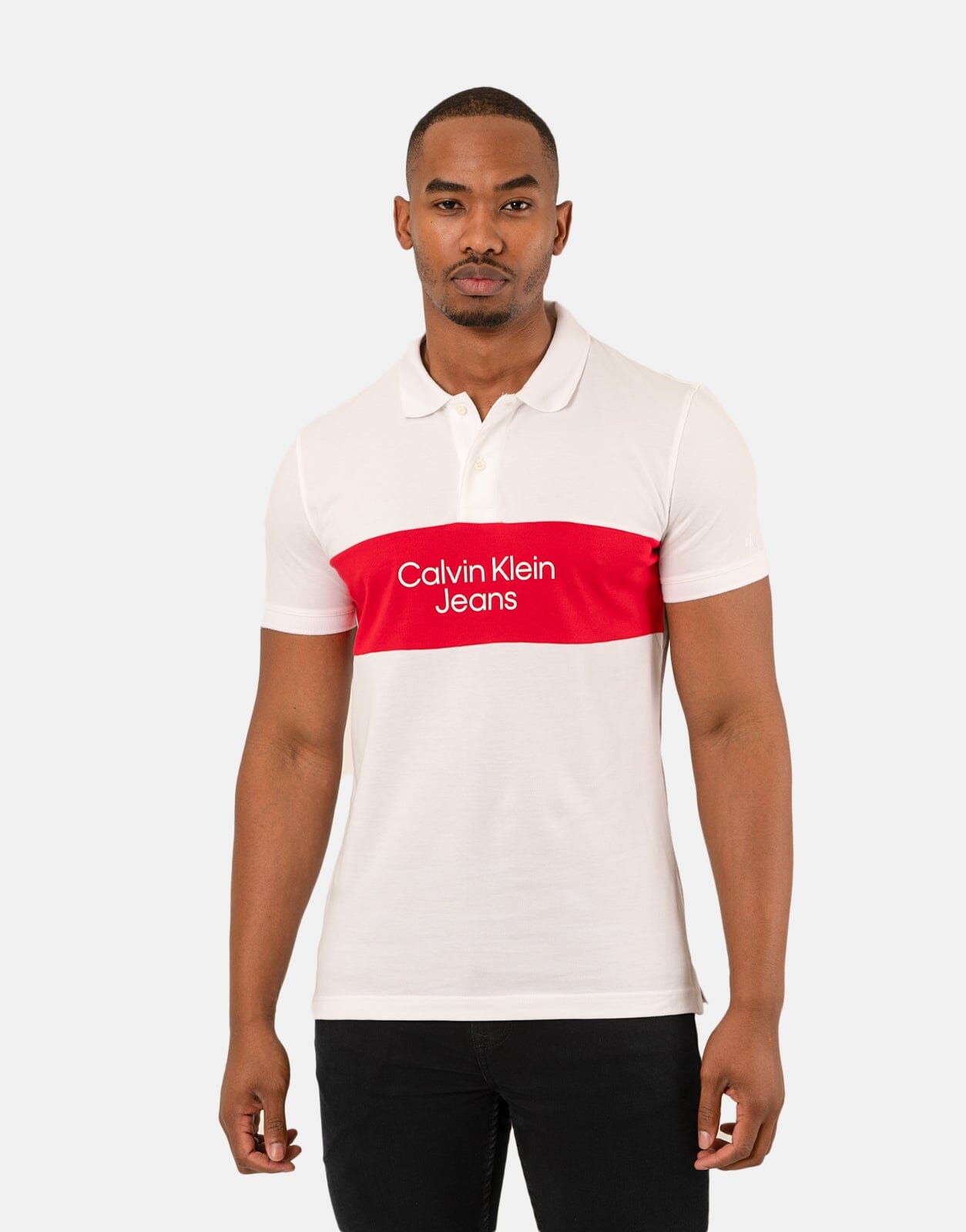 Polo Calvin Klein T Shirts, Half Sleeves, Printed at Rs 115/piece